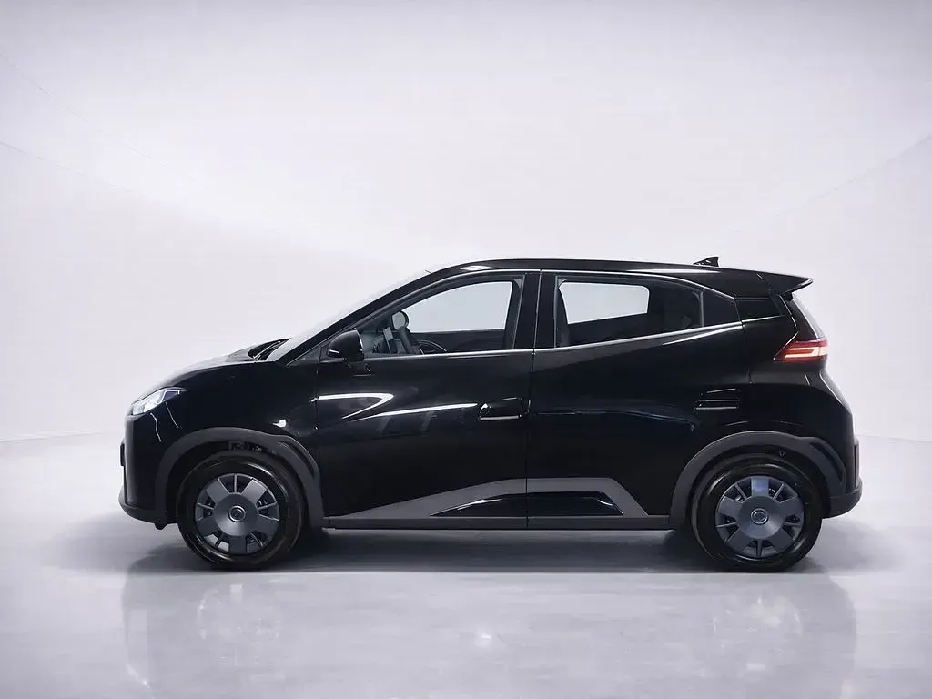 Neu BYD Dolphin Surf Active 64 kW (88 PS) 2025 Schwarz Kleinwagen