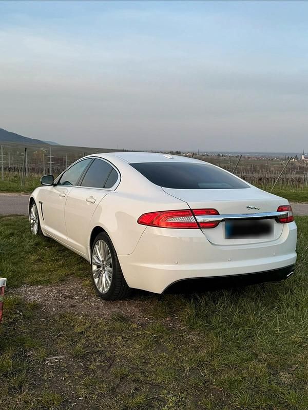 Gebraucht Jaguar XF 200 PS (147 kW) 2011 Weiß Limousine