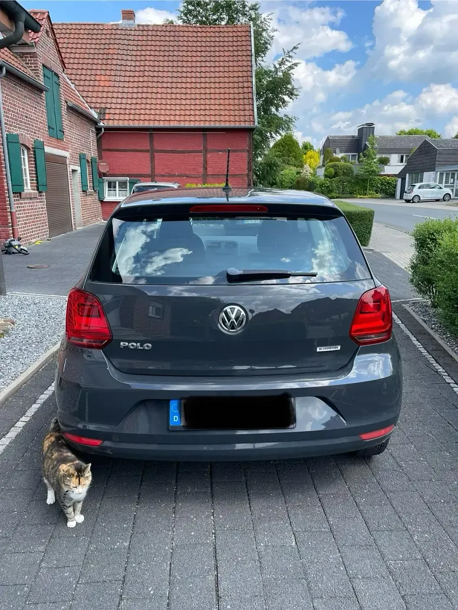 Gebraucht VW Polo 60 PS (44 kW) 2015 Grau Kleinwagen