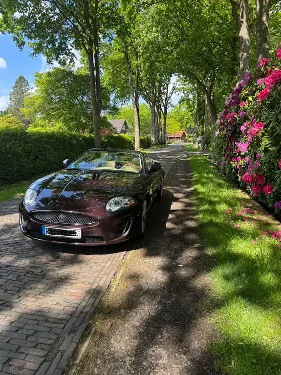 Gebraucht Jaguar XK Portfolio 385 PS (283 kW) 2011 Cabrio
