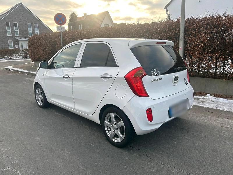 Gebraucht Kia Picanto 69 PS (50 kW) 2011 Weiß Kleinwagen