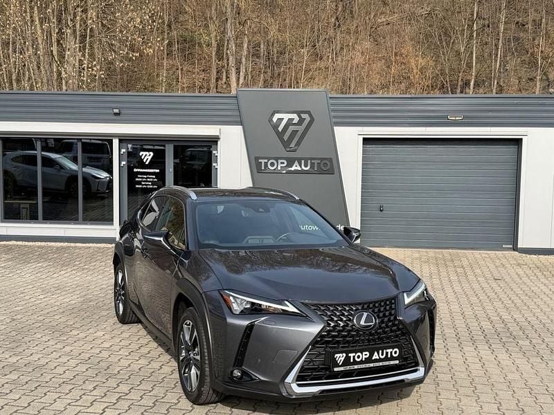 Gebraucht Lexus UX 250h 184 PS (135 kW) 2024 Grau SUV
