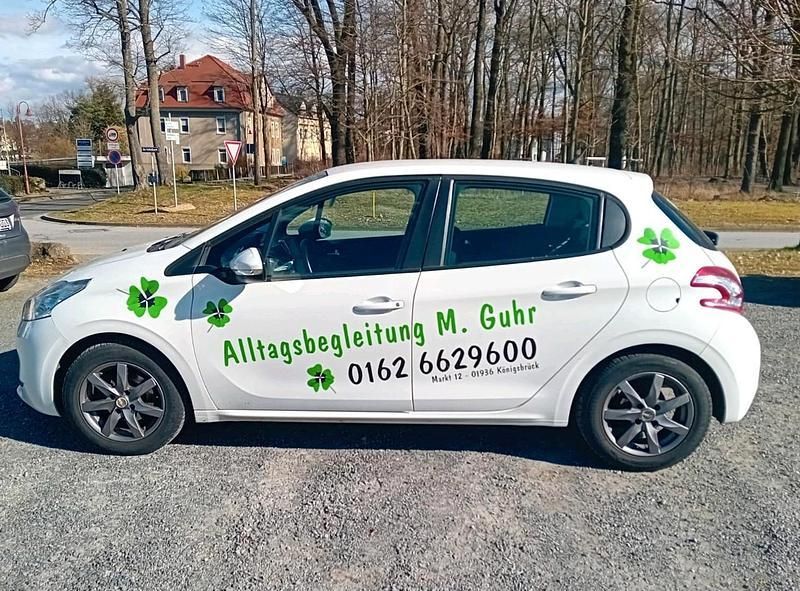 Weiß Gebraucht 2013 Peugeot 208 Active Kleinwagen | 3.999 € (Guter Preis) - Bild 1/4
