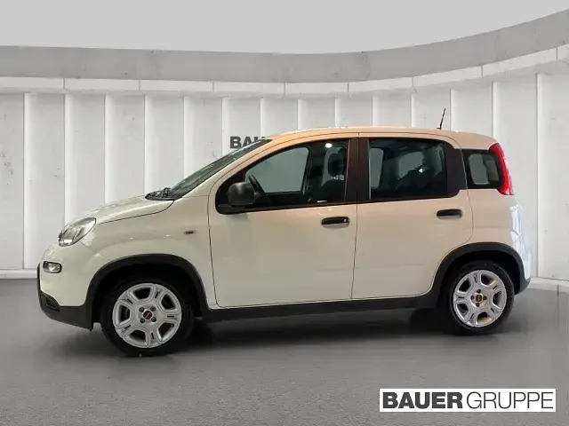 Gebraucht Fiat Panda 69 PS (50 kW) 2023 Weiss) (weiss Kleinwagen