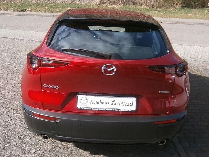 Gebraucht Mazda CX-30 2020 Rot SUV