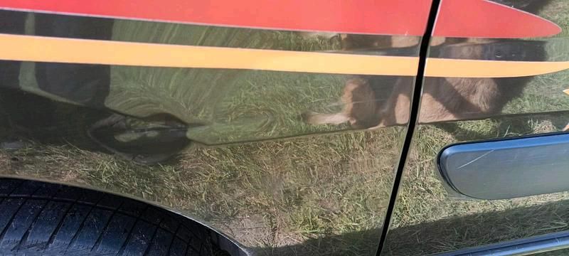 Second-hand Citroën Jumpy 163 CP (119 kW) 2013 Maro Monovolum