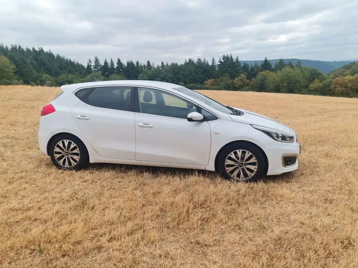 Gebraucht Kia Ceed DREAM-TEAM Edition 136 PS (100 kW) 2016 Weiß Kleinwagen
