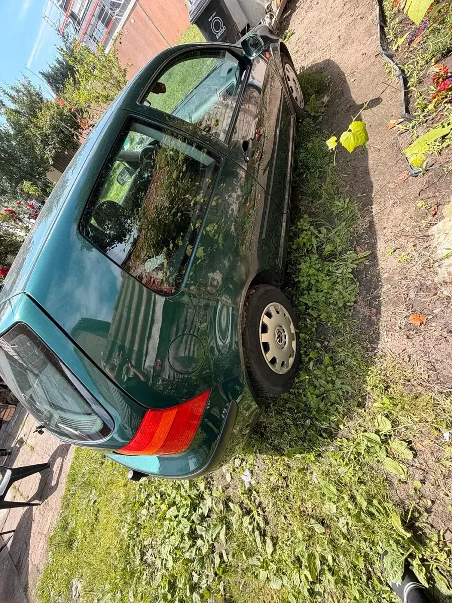Gebraucht VW Golf III 75 PS (55 kW) 1999 Grün Kleinwagen