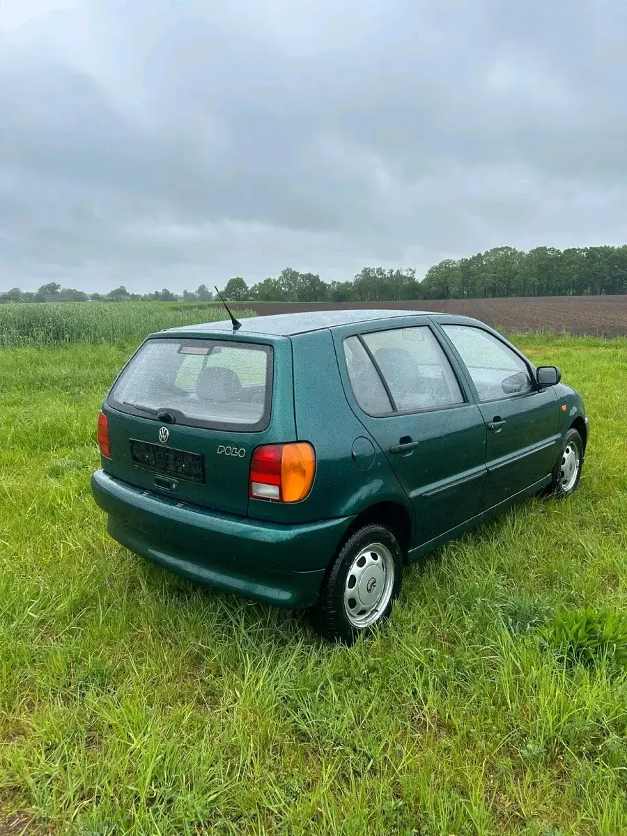 Usata VW Polo 75 CV (55 kW) 1997 Verde Utilitaria