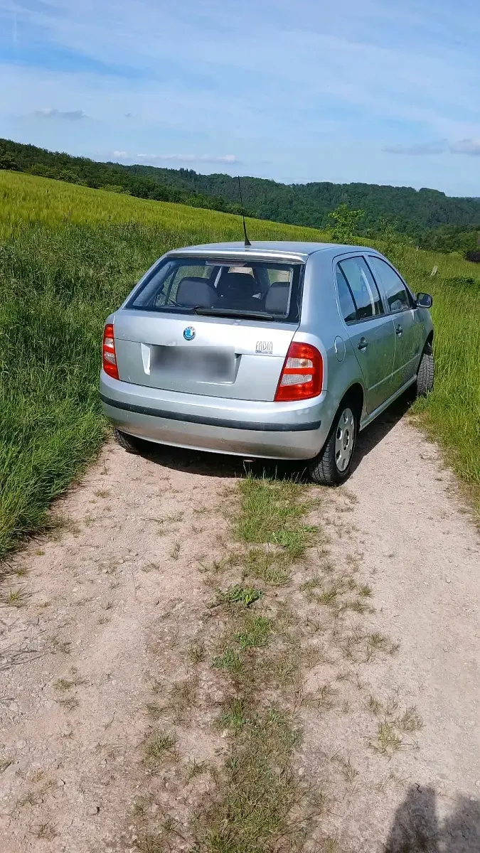 Gebraucht Skoda Fabia 64 PS (47 kW) 2004 Silber Kleinwagen