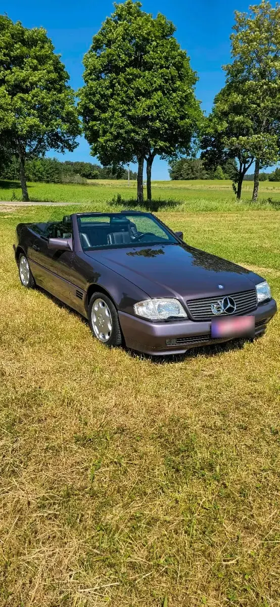 Gebraucht Mercedes SL300 236 PS (173 kW) 1991 Violet Cabrio
