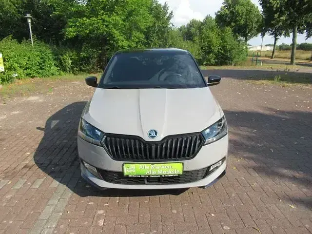 Gebraucht Skoda Fabia Monte Carlo 110 PS (80 kW) 2020 Grau Kleinwagen