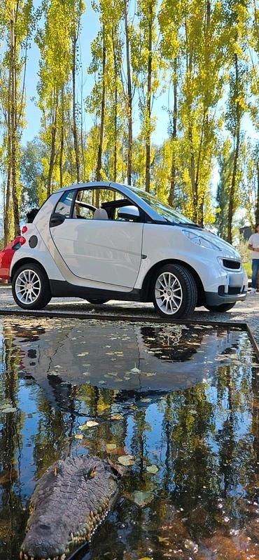 Gebraucht Smart ForTwo Cabrio 71 PS (52 kW) 2008 Weiß Cabrio