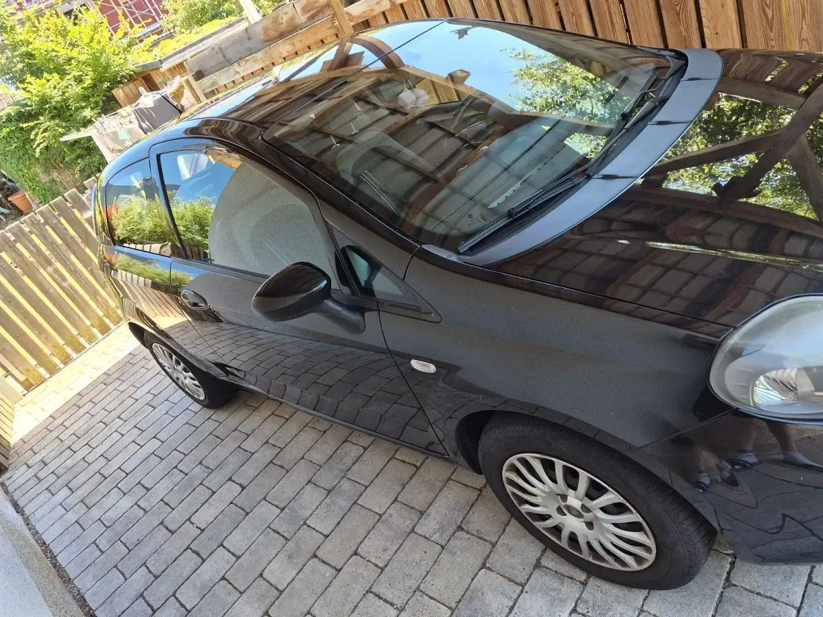 Gebraucht Fiat Punto Pop 69 PS (50 kW) 2012 Schwarz Kleinwagen