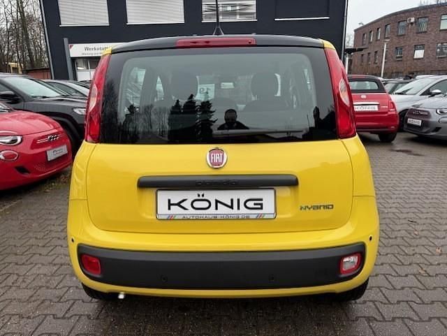 Neu Fiat Panda 69 PS (50 kW) 2025 Gelb Kleinwagen