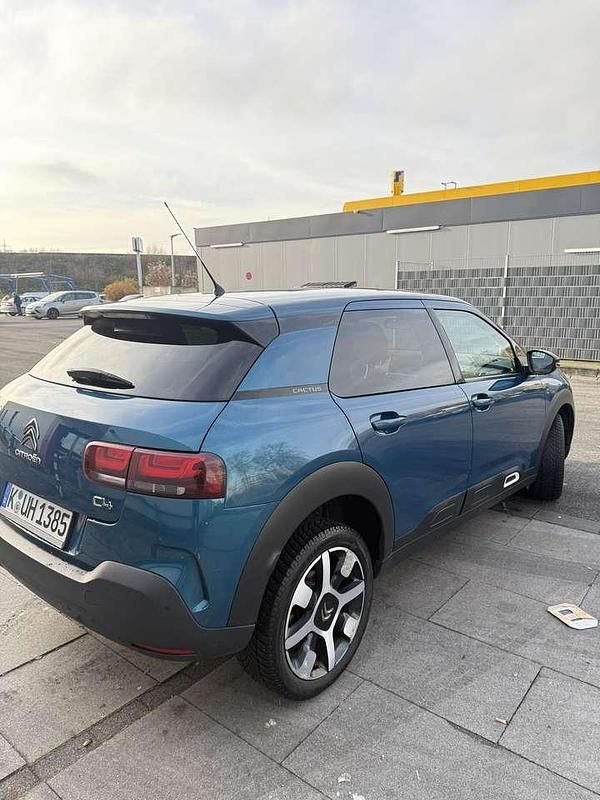 Gebraucht Citroën C4 Cactus Shine 120 PS (88 kW) 2019 Kleinwagen