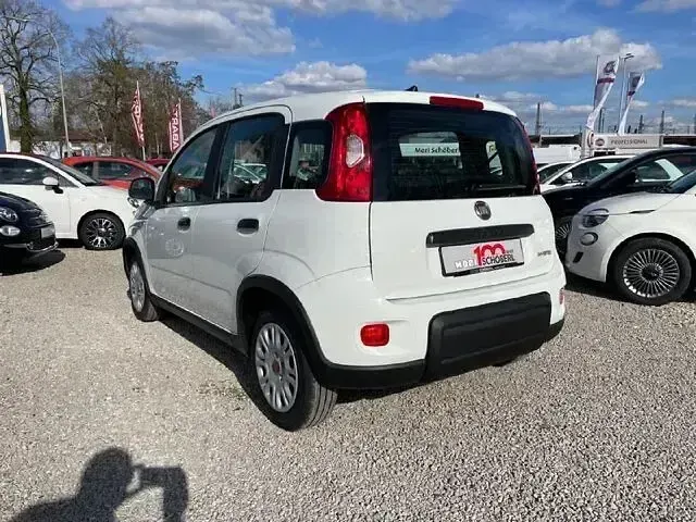 Occasion Fiat Panda 69 ch (50 kW) 2025 Blanc Citadine