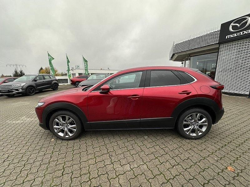 Gebraucht Mazda CX-30 Selection 179 PS (131 kW) 2020 Magmarot SUV