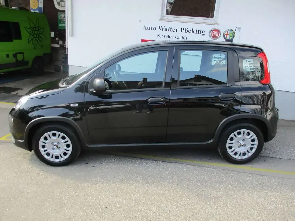 Neu Fiat Panda 69 PS (50 kW) 2025 Blau Kleinwagen