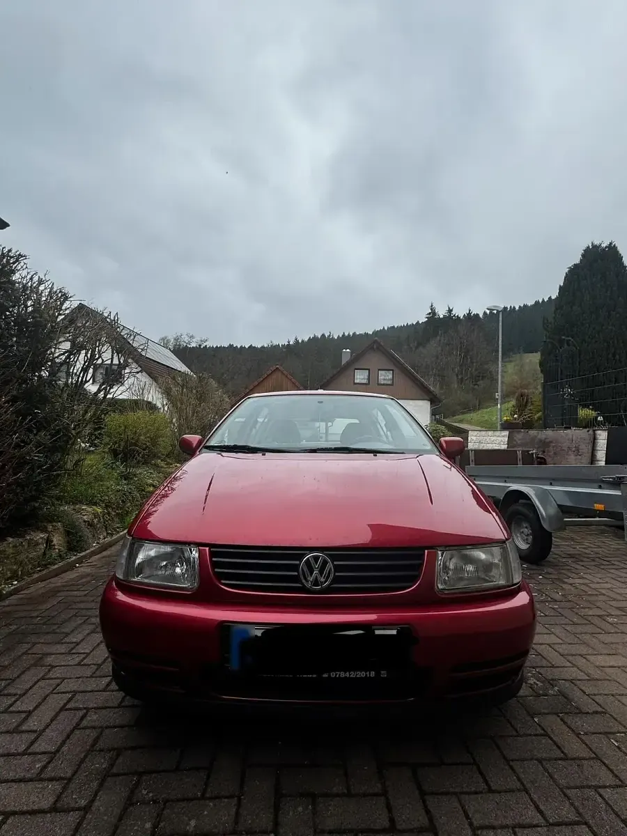 Usata VW Polo 65 CV (47 kW) 1997 Rosso Utilitaria