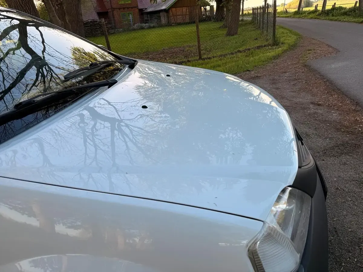 Gebraucht Dacia Logan 70 PS (51 kW) 2011 Weiß Pickup
