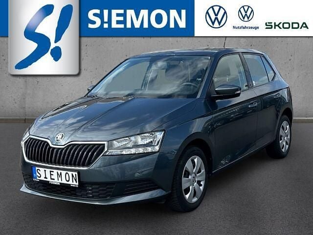 Grau Gebraucht 2018 Skoda Fabia Active Kleinwagen | 9.890 € (Fairer Preis) - Bild 1/2