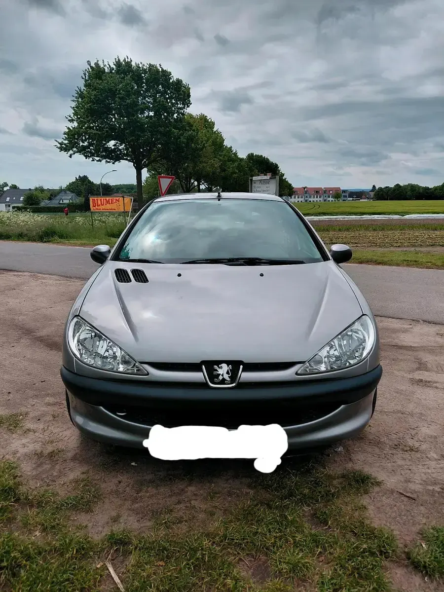 Używany Peugeot 206 89 KM (65 kW) 2005 Szary Hatchback