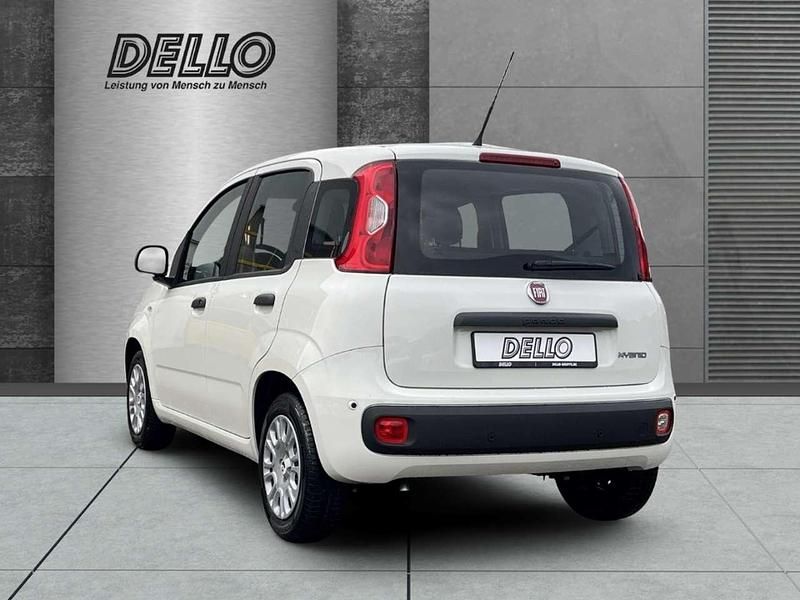 Neu Fiat Panda 69 PS (50 kW) 2025 Gelato weiß Kleinwagen