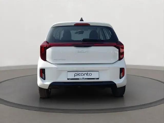 Neu Kia Picanto Vision 50 PS (36 kW) 2025 Weiß Kleinwagen