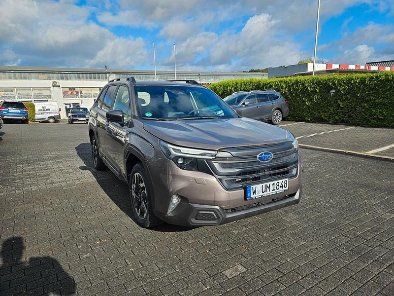 Gebraucht Subaru Forester Active 136 PS (100 kW) 2025 Grau SUV