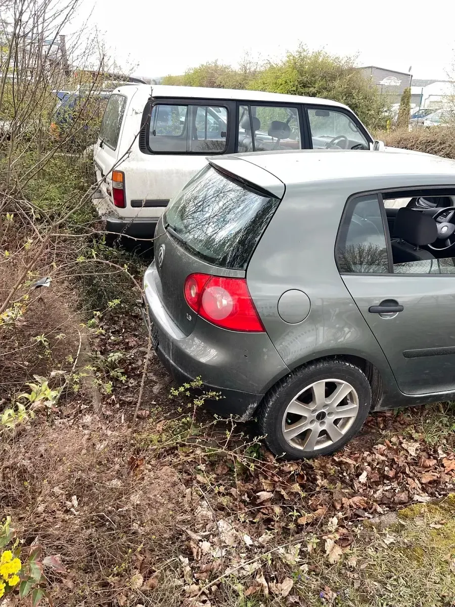 Gebraucht VW Golf IV 2005 Grün Kleinwagen