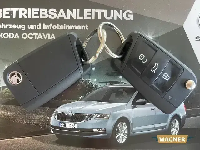 Gebraucht Skoda Octavia Soleil 116 PS (85 kW) 2019 Beige Kombi