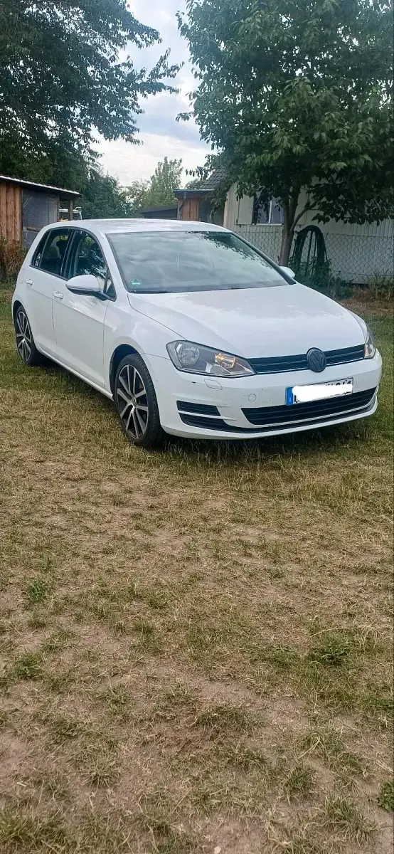 Gebraucht VW Golf VII 110 PS (80 kW) 2015 Weiß Kleinwagen