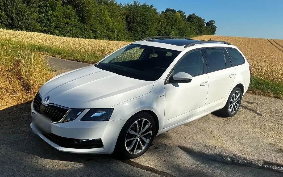 Gebraucht Skoda Octavia Soleil 116 PS (85 kW) 2019 Weiß Kombi