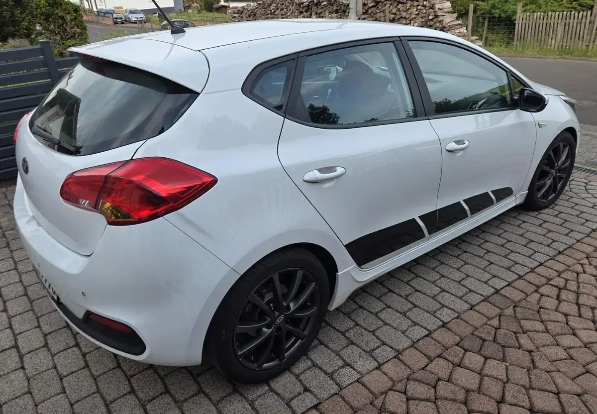 Brugt Kia Ceed Edition 7 99 HK (72 kW) 2014 Sort Hatchback