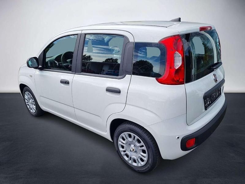 Neu Fiat Panda 69 PS (50 kW) 2025 Gelato weiß Kleinwagen