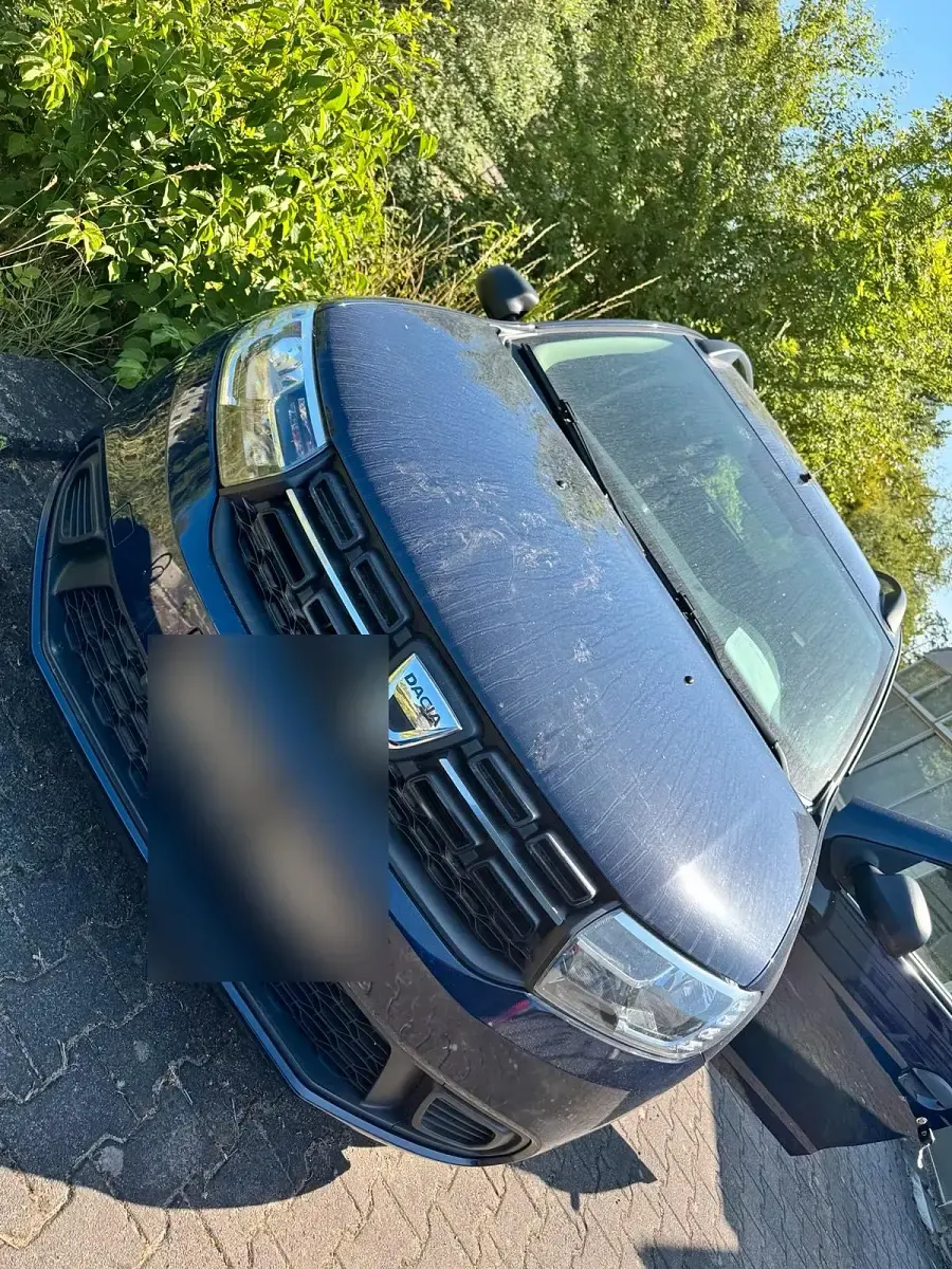 Gebraucht Dacia Logan 73 PS (53 kW) 2017 Blau Kombi