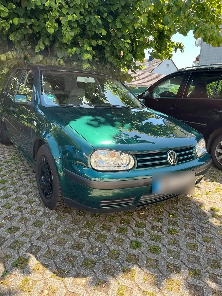 Gebraucht VW Golf IV 75 PS (55 kW) 1997 Grün Kleinwagen