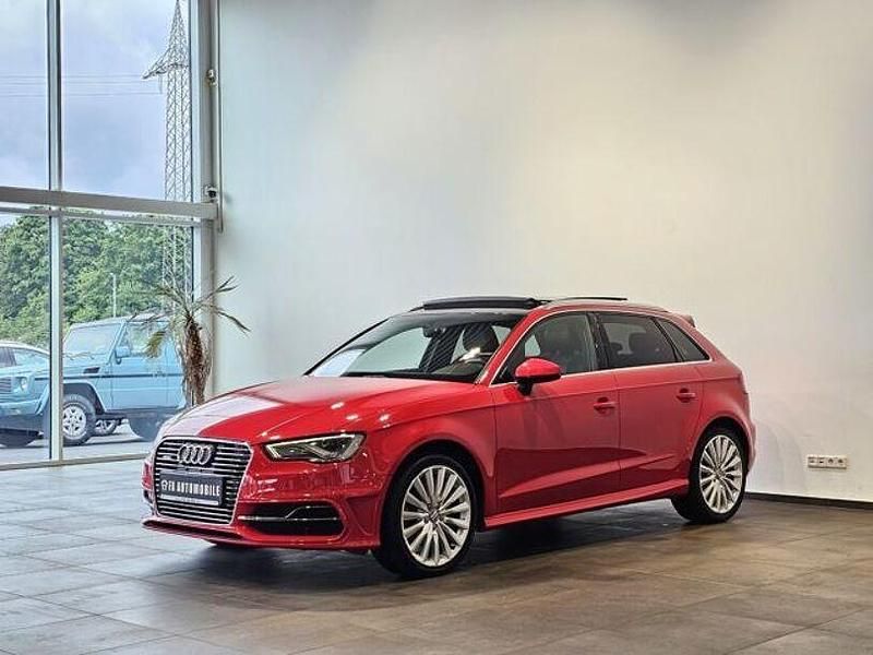 Gebraucht Audi e-tron Ambition 110 PS (80 kW) 2014 Andere SUV