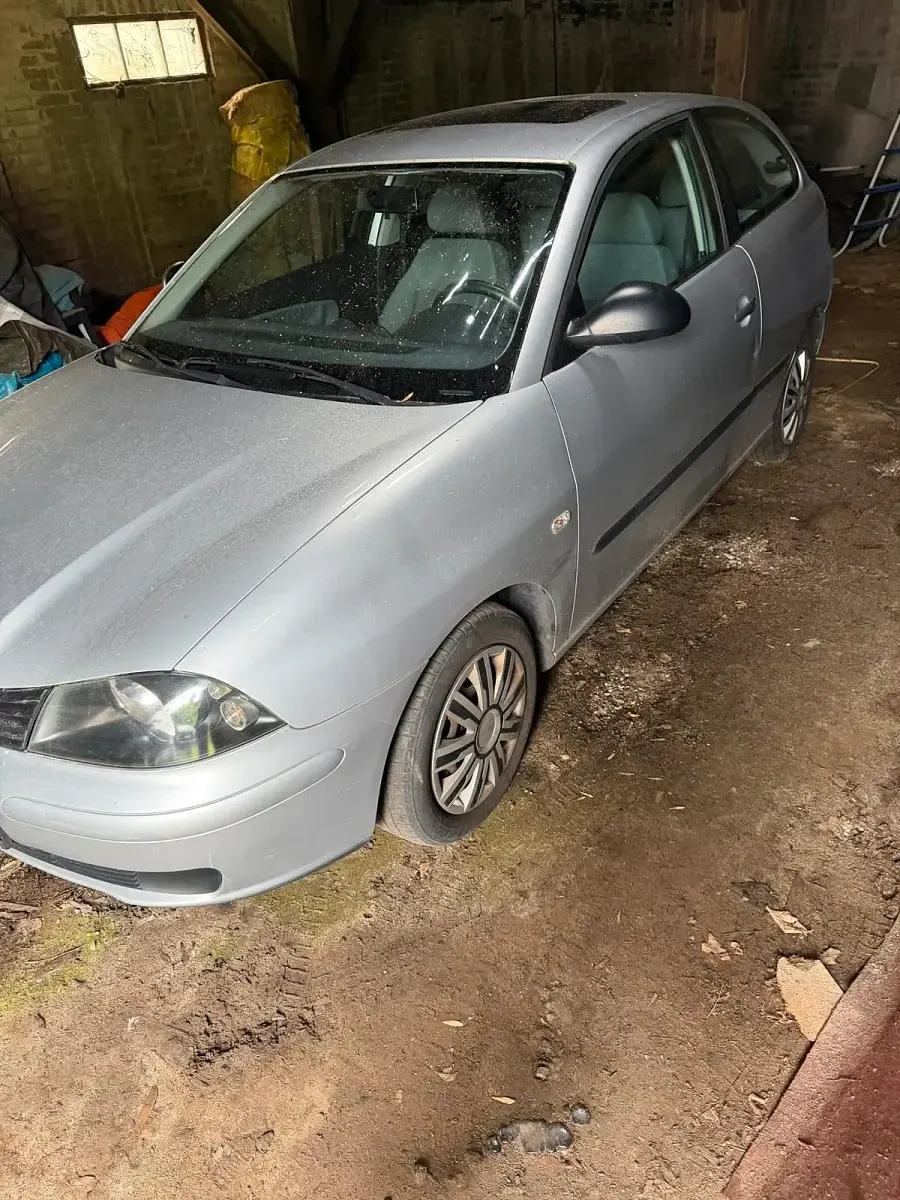Gebraucht Seat Ibiza 2002 Silber Kleinwagen