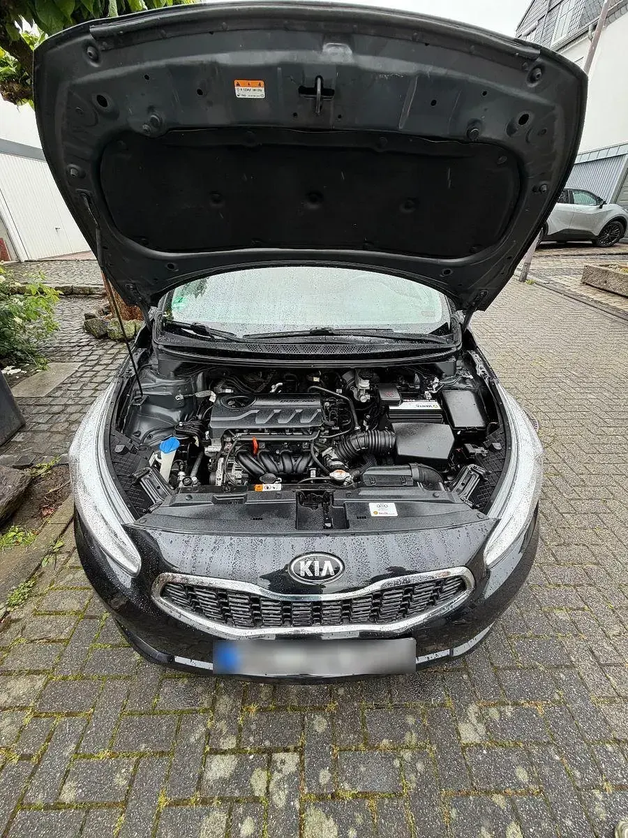 Gebraucht Kia Ceed Edition 7 99 PS (72 kW) 2016 Schwarz Kleinwagen