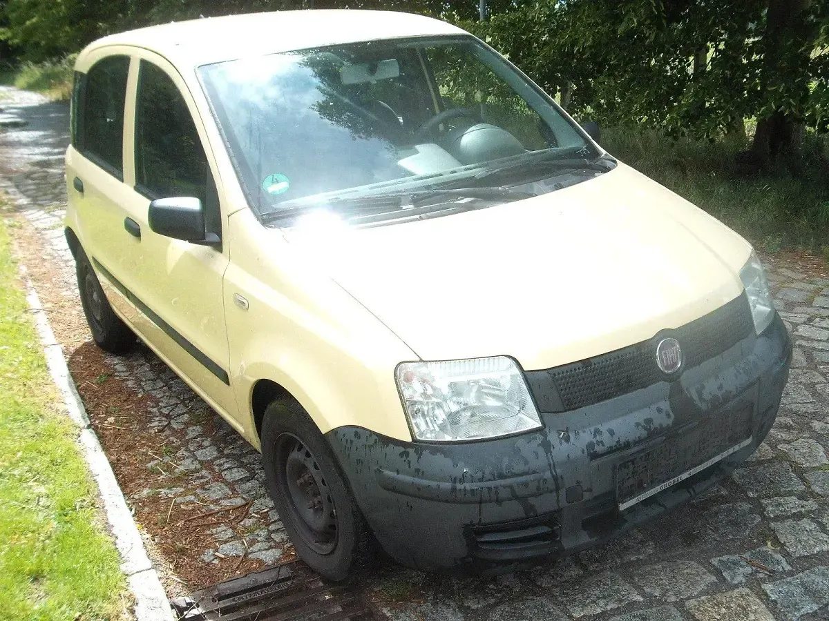 Gebraucht Fiat Panda Active 54 PS (39 kW) 2009 Gelb Kleinwagen