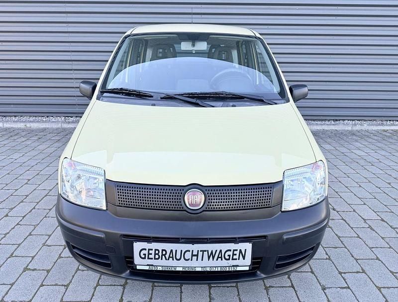 Gebraucht Fiat Panda Active 54 PS (39 kW) 2009 Beige Kleinwagen