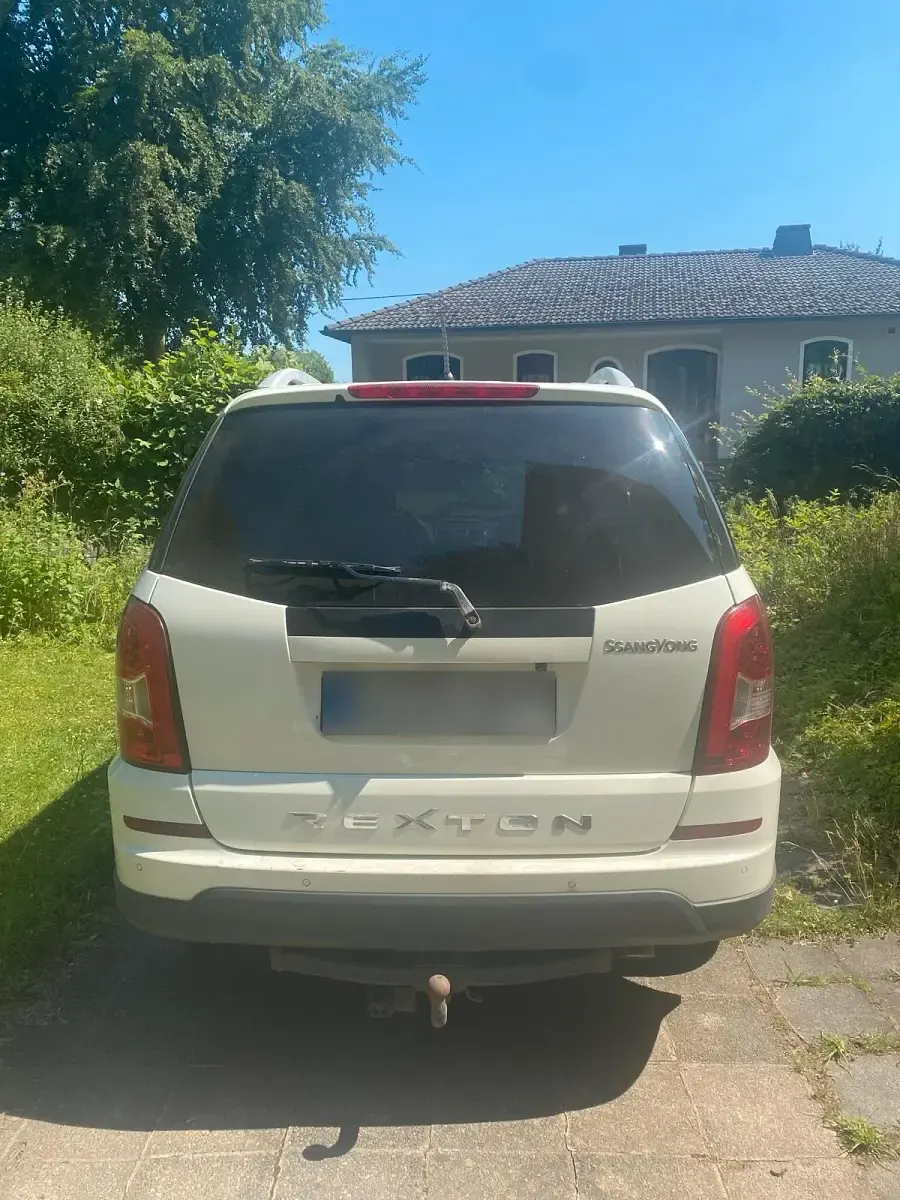 Gebraucht SsangYong Rexton 150 PS (110 kW) 2014 Weiß SUV