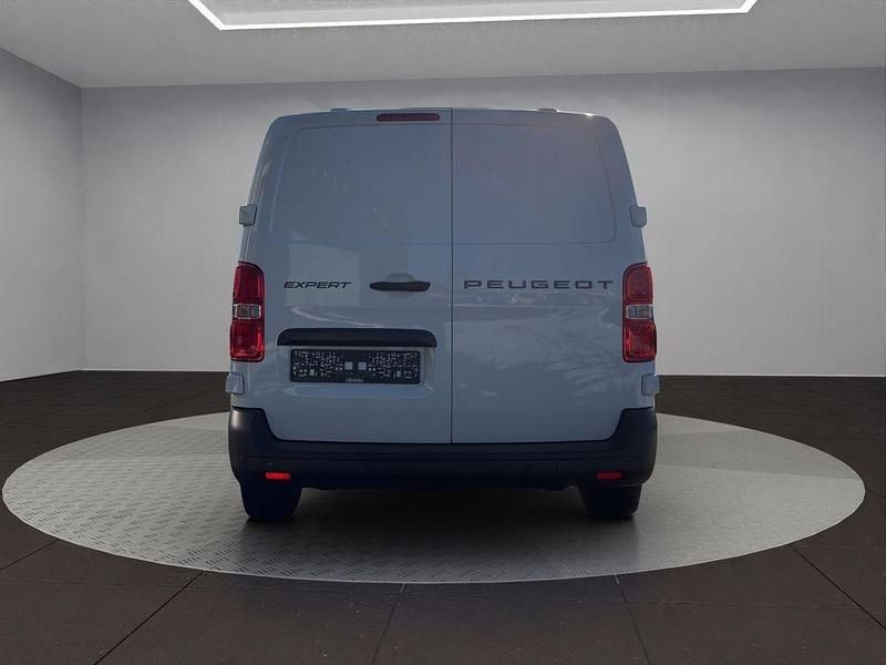 Neu Peugeot Expert 150 PS (110 kW) 2026 Weiß Van