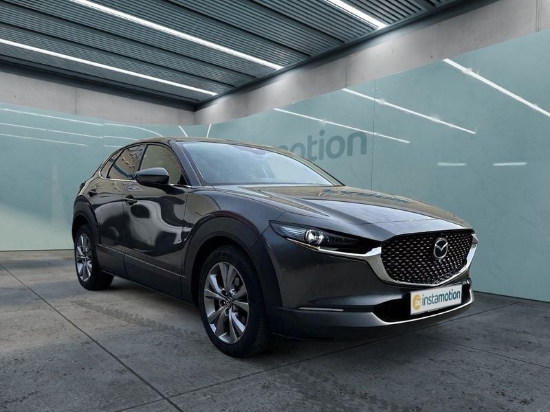Gebraucht Mazda CX-30 Selection 150 PS (110 kW) 2020 Grau SUV