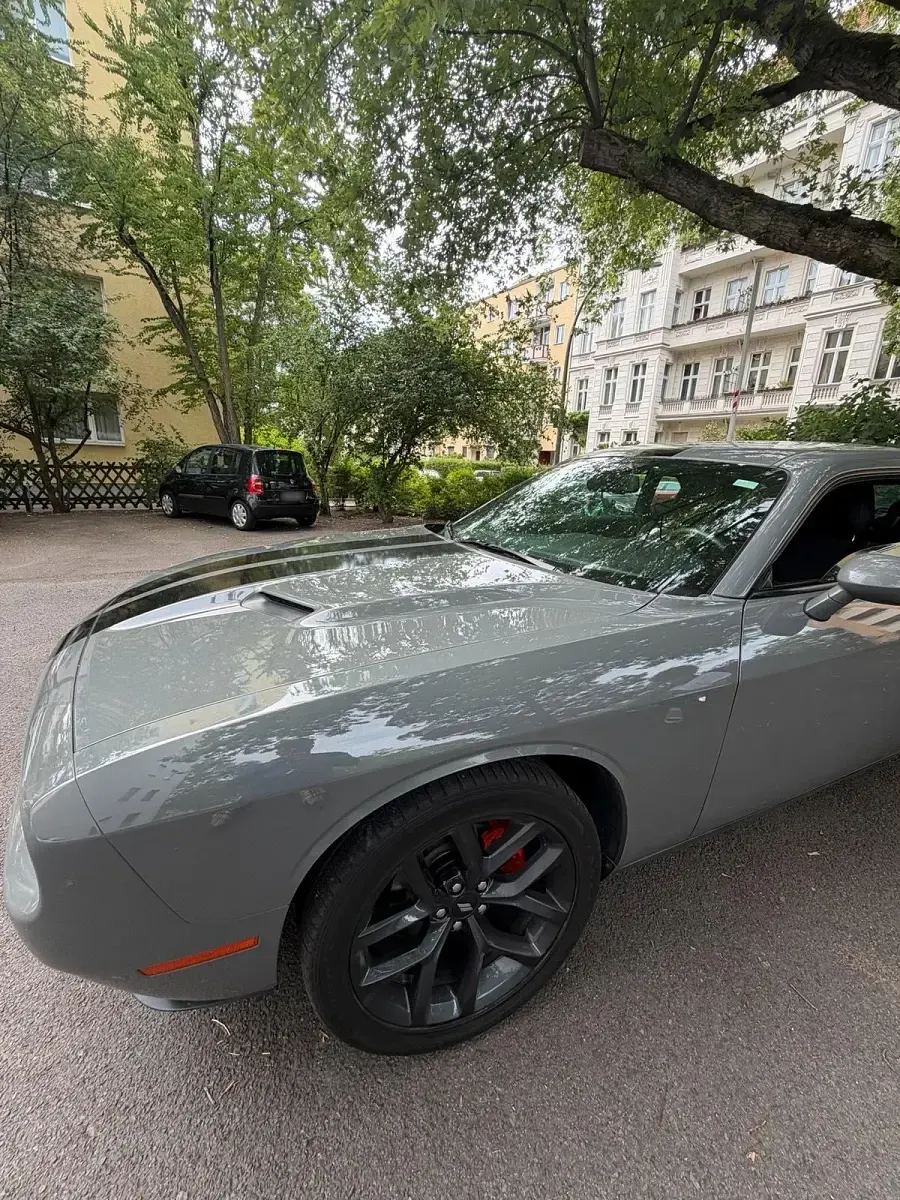 Gebraucht Dodge Challenger 309 PS (227 kW) 2019 Coupé
