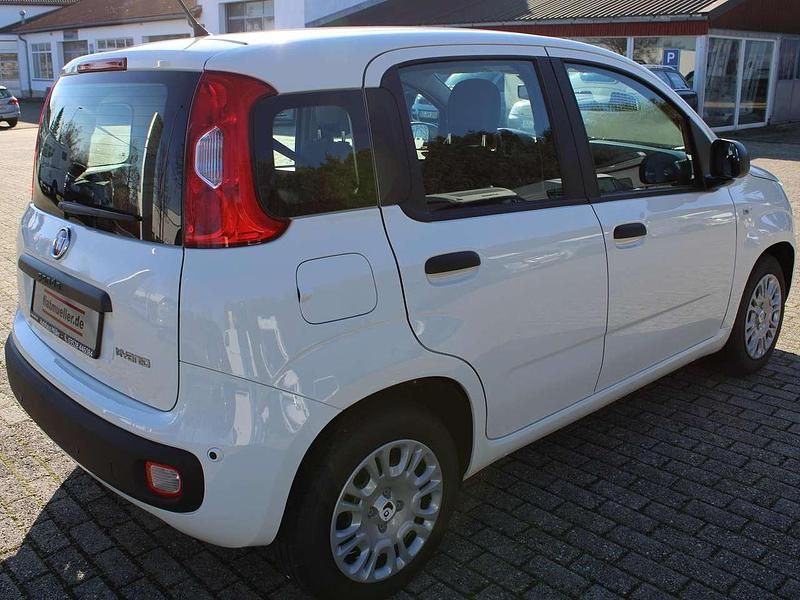 Neu Fiat Panda 69 PS (50 kW) 2025 Weiß Kleinwagen