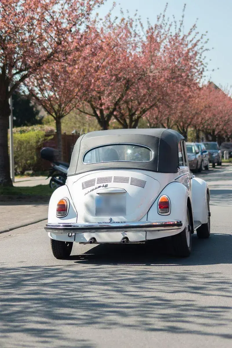 Gebraucht VW Käfer 50 PS (36 kW) 1972 Weiß Cabrio