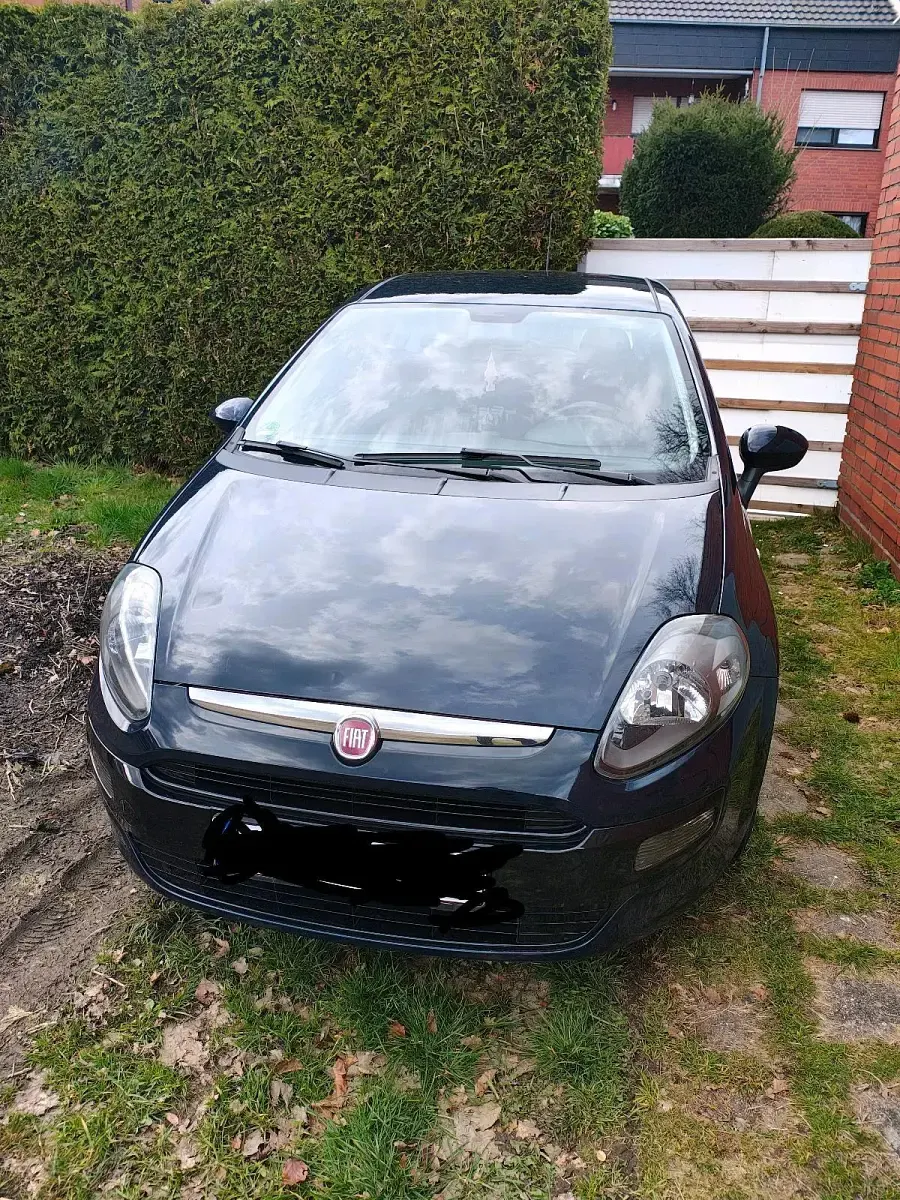 Gebraucht Fiat Punto Evo 69 PS (50 kW) 2011 Blau Kleinwagen